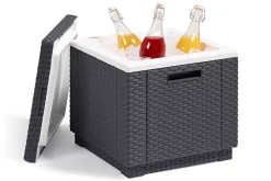 Bijzettafel/Koelbox Cube (42X42 Cm)|Allibert Hot