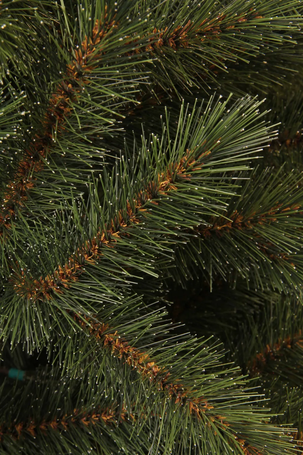 Sale Black Box Trees Kerstboom Toronto (H155 X O102 Cm)