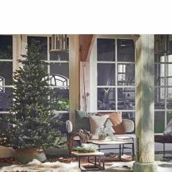 New Black Box Trees Kerstboom Macallan (H185 X O127 Cm)