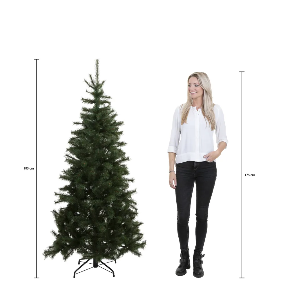 Shop Black Box Trees Kerstboom Toronto (H185 X O114 Cm)
