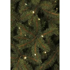 Online Black Box Trees Verlichte Kerstboom Toronto (H215Xo132 Cm)
