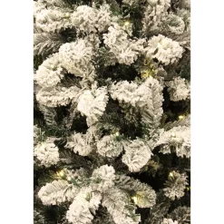 Clearance Black Box Trees Verlichte Kerstboom Millington (H185 X O109 Cm)