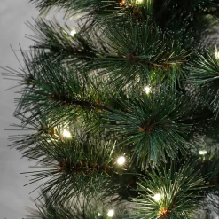 Cheap Black Box Trees Verlichte Kerstboom Sotka (H185 X O66 Cm)