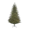 Online Black Box Trees Verlichte Kerstboom Frasier (H185 X O124 Cm)
