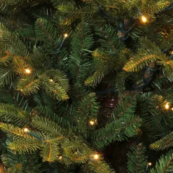 Online Black Box Trees Verlichte Kerstboom Frasier (H185 X O124 Cm)