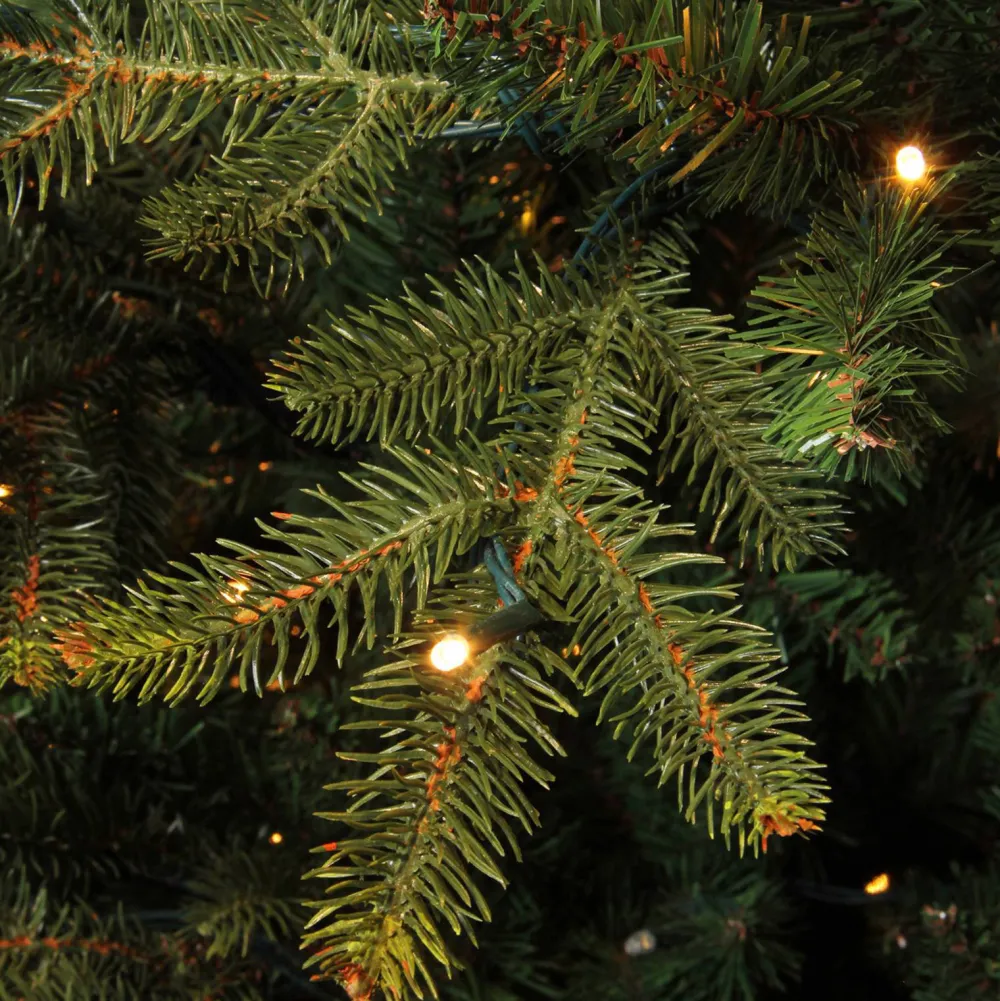 Online Black Box Trees Verlichte Kerstboom Frasier (H185 X O124 Cm)