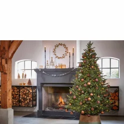Online Black Box Trees Verlichte Kerstboom Frasier (H185 X O124 Cm)