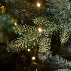 Best Sale Black Box Trees Verlichte Kerstboom Elkins (H185 X O104 Cm)