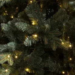 Best Sale Black Box Trees Verlichte Kerstboom Elkins (H185 X O104 Cm)