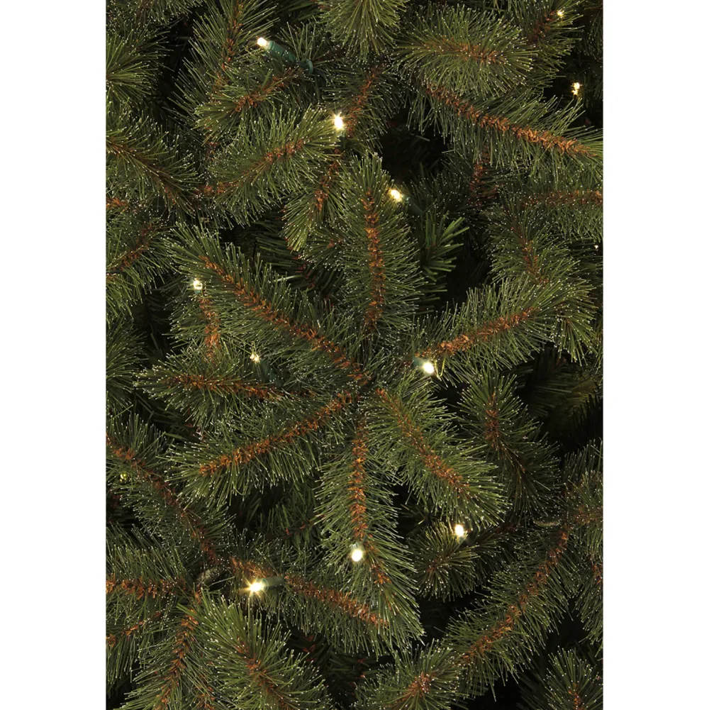 Hot Black Box Trees Verlichte Kerstboom Toronto (H155Xo102 Cm)