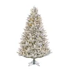 Outlet Black Box Trees Verlichte Kerstboom Frasier (H215 X O145Cm)