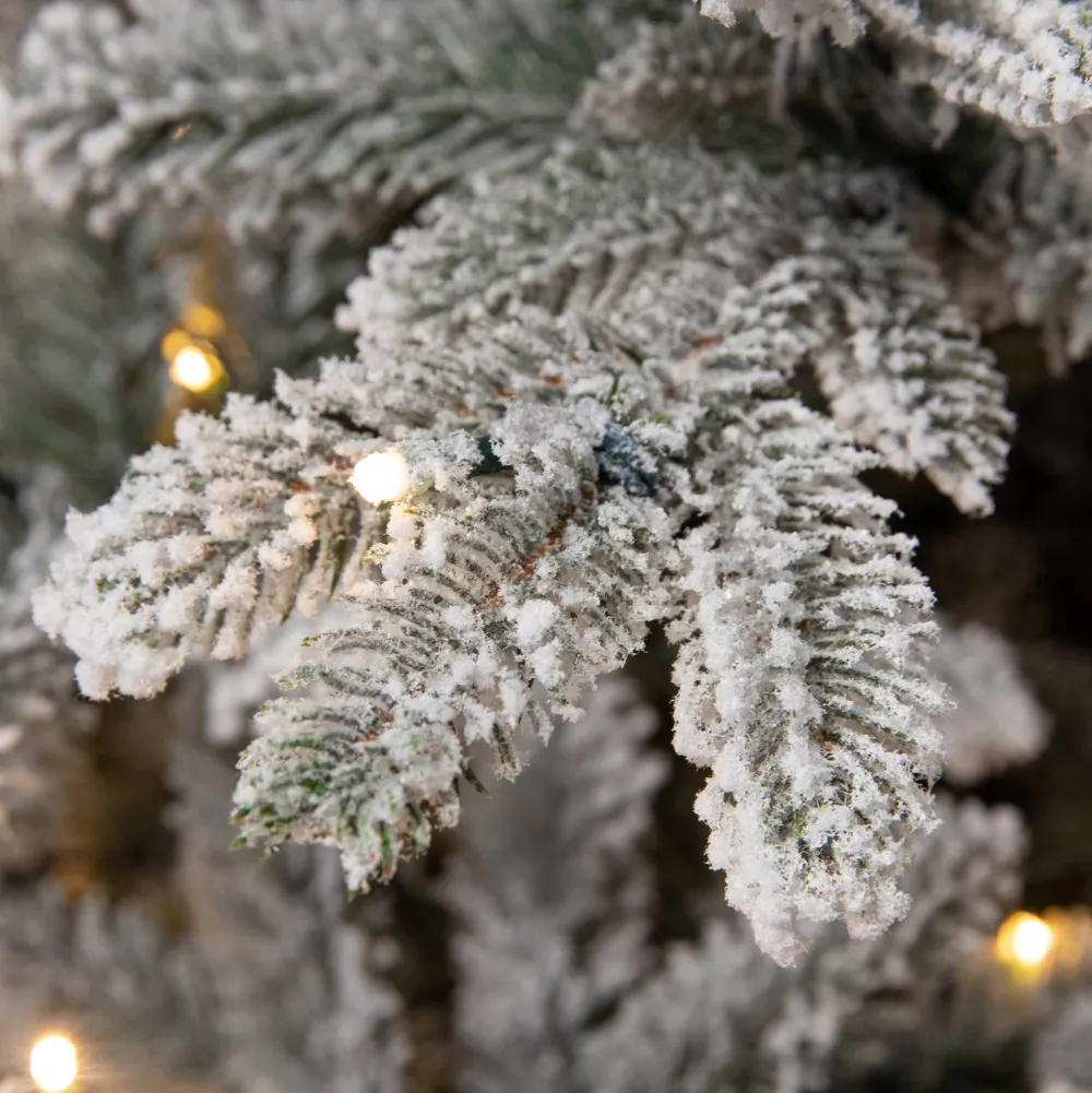 Outlet Black Box Trees Verlichte Kerstboom Frasier (H215 X O145Cm)