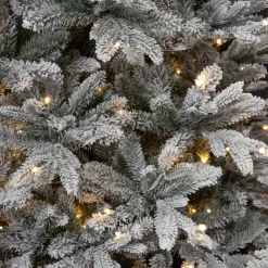 Outlet Black Box Trees Verlichte Kerstboom Frasier (H215 X O145Cm)
