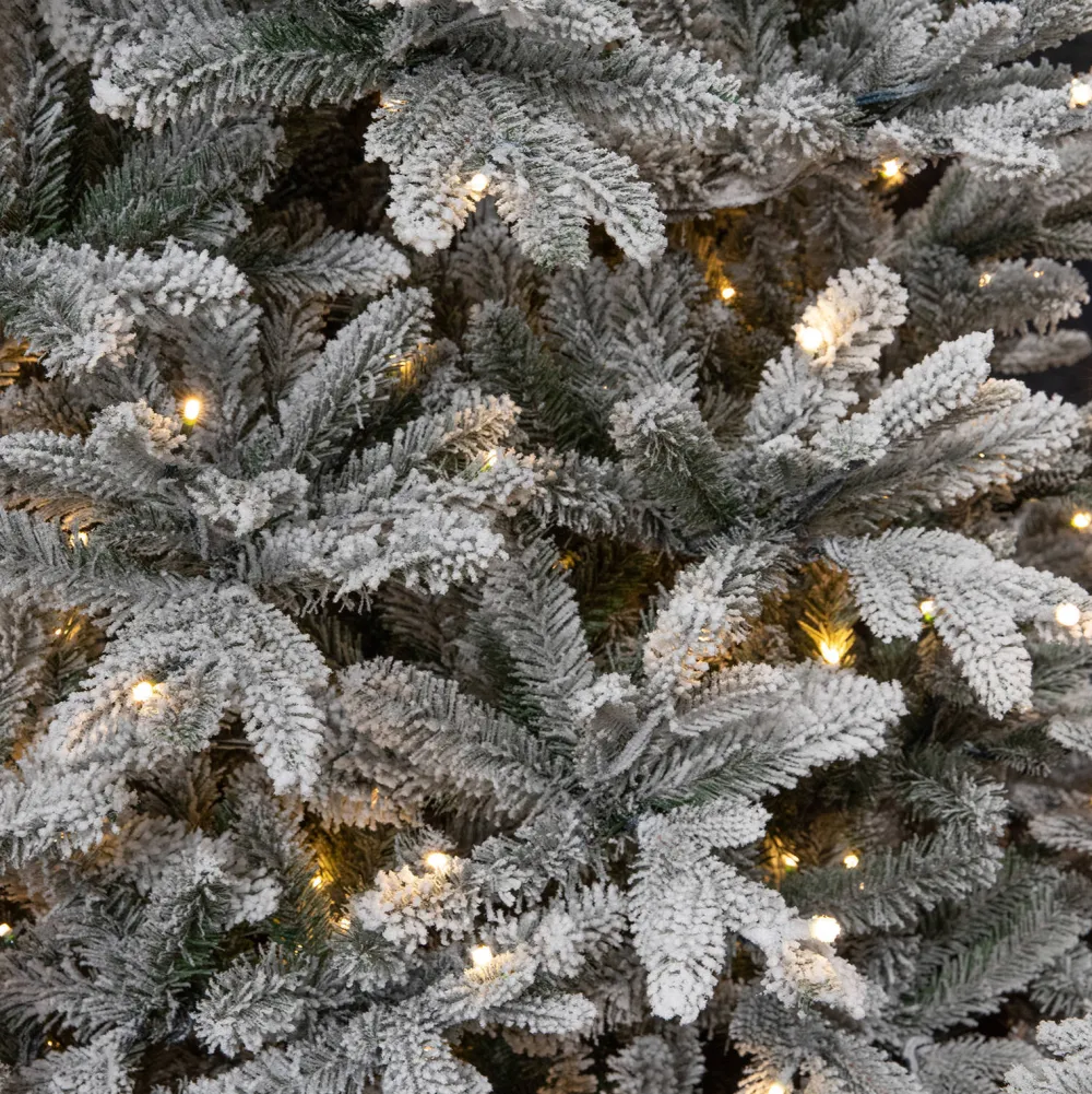 Outlet Black Box Trees Verlichte Kerstboom Frasier (H215 X O145Cm)