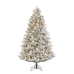 Cheap Black Box Trees Verlichte Kerstboom Frasier (H185 X O124Cm)