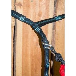 Bevestigingstouw Hangmat (Set Van 2)|Bo-Camp Store