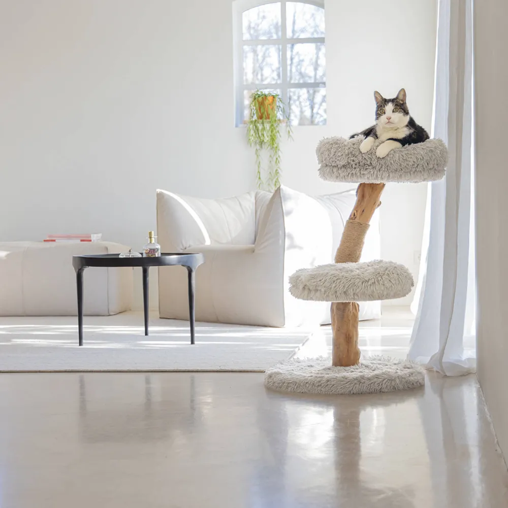 Shop Designed by Lotte Houten Krabmeubel Zora -50X72-Grijs