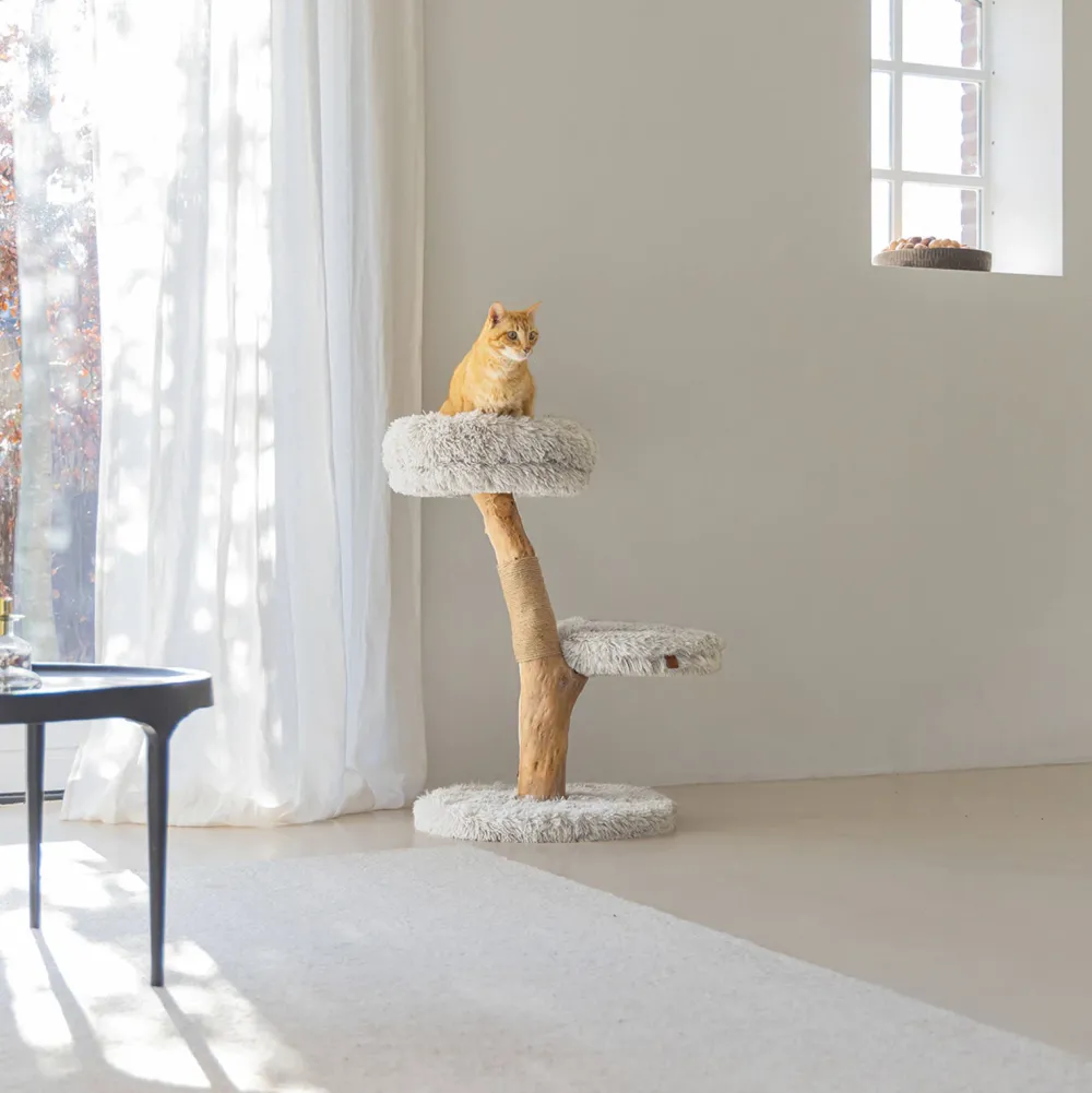 Shop Designed by Lotte Houten Krabmeubel Zora -50X72-Grijs