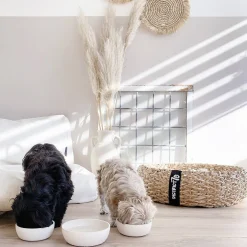 Discount District 70 Bamboo Hond Voerbak - M - Merengue