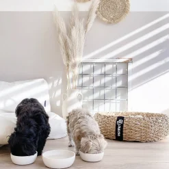Discount District 70 Bamboo Voerbak Hond/Kat - S - Merengue