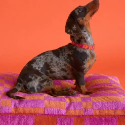 Cheap Dogguo Hondenkussen Jacquard Blok Patroon Oranje En Magenta Maat L