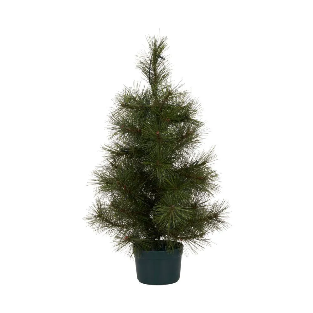 Outlet House Doctor Kerstboom Pinus