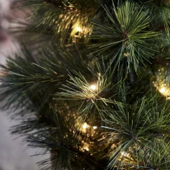 Outlet House Doctor Kerstboom Pinus