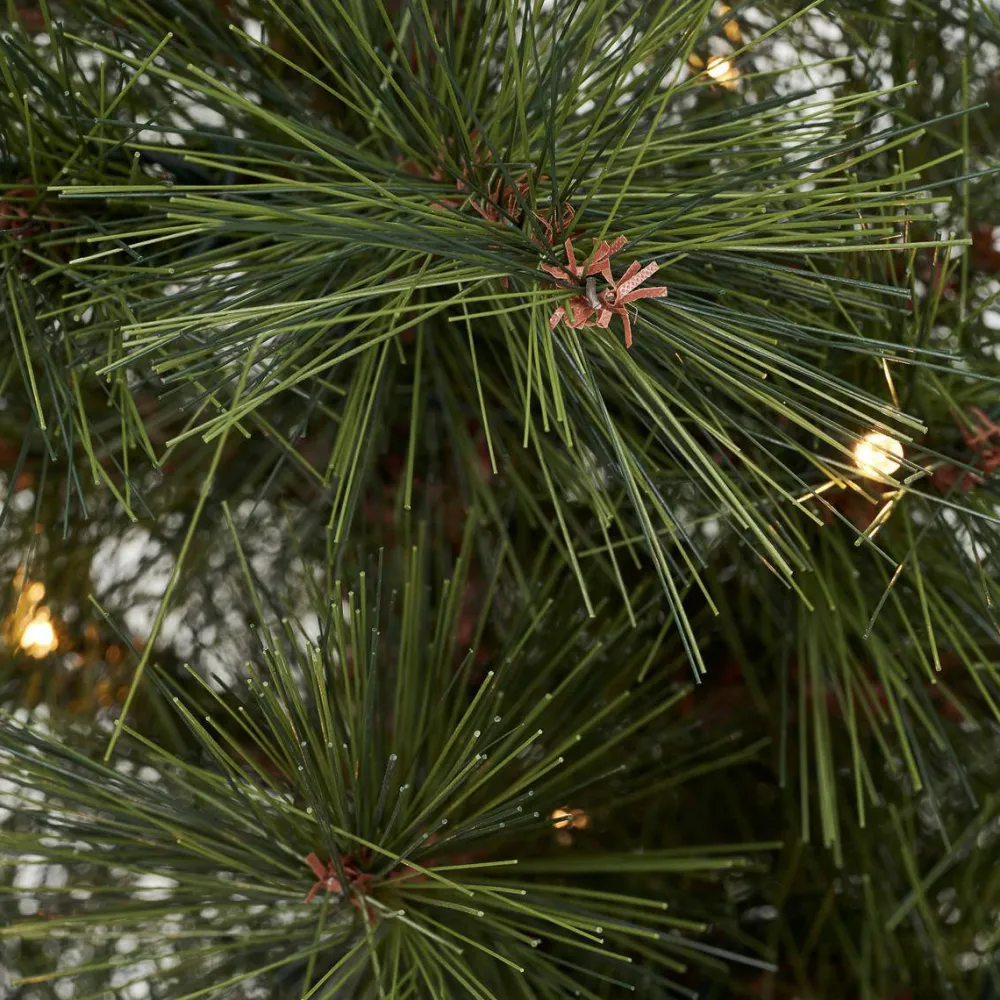 Outlet House Doctor Kerstboom Pinus