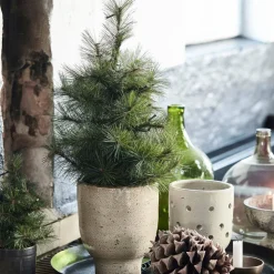 Outlet House Doctor Kerstboom Pinus