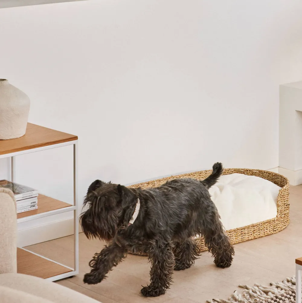 Online Kave Home Hondenkussen Codie O 80 X 50 Cm