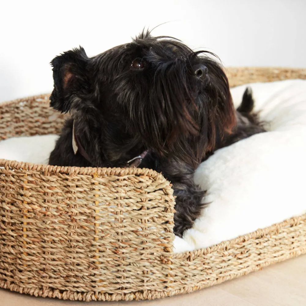 Online Kave Home Hondenkussen Codie O 80 X 50 Cm