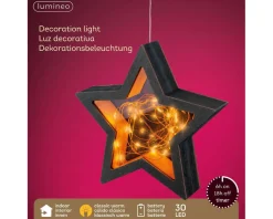 Online Lumineo Micro Ster (30 Led)