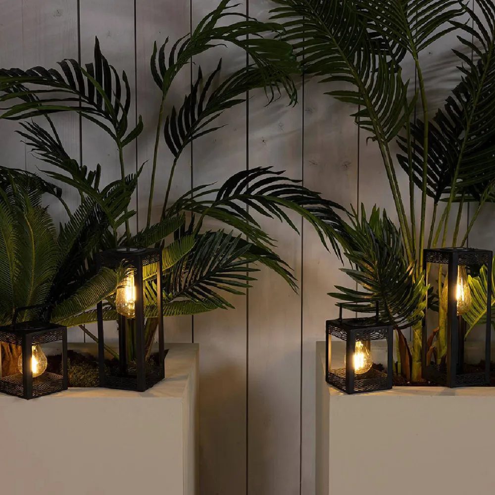 Solar Light Solar|Lumineo Hot