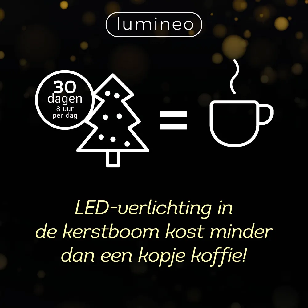 Store Lumineo Verlichtingssnoer Kerst Cluster (1128 Led)