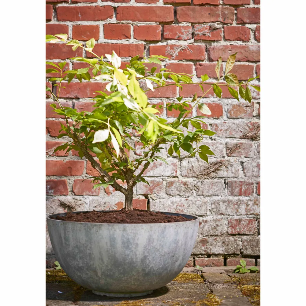 Bloempot Bravo (O35 Cm)|Mica Decorations New