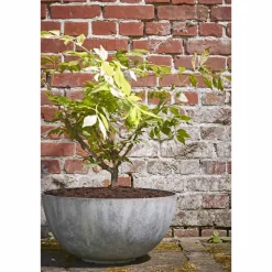 Bloempot Bravo (O55 Cm)|Mica Decorations Cheap