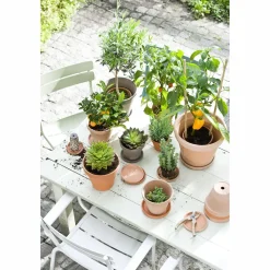 Bloempot Stan (Set Van 3) - (O13,5X12 Cm)|Mica Decorations Best