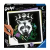 Pixie Cold Edition Raccoon - Schilderen Op Nummer Voor Volwassenen|Ravensburger Flash Sale