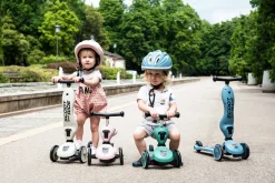 Highwaykick 1 - Ash|Scoot & Ride Online