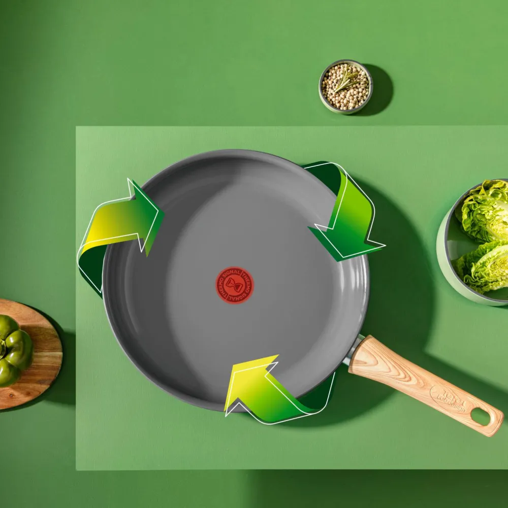 Online Tefal Revive Koekenpan (O20 Cm)