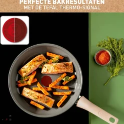 Online Tefal Revive Koekenpan (O20 Cm)