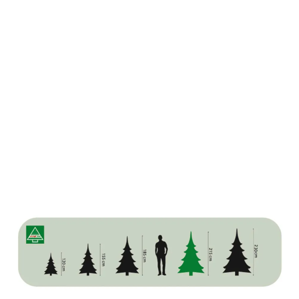 Best Triumph Tree Kerstboom Forest Frosted Pine (H215 X O140 Cm)
