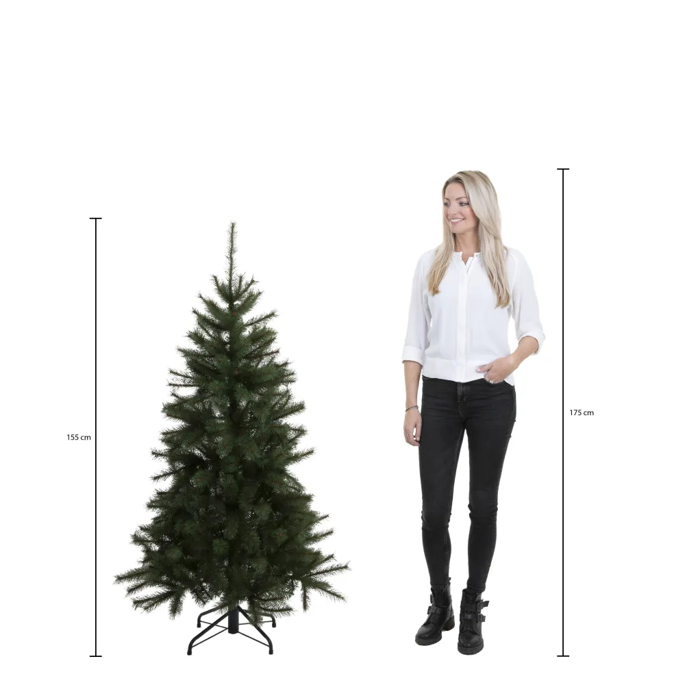 Cheap Triumph Tree Kerstboom Forrester (H155 X O102 Cm)