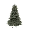 Cheap Triumph Tree Kerstboom Forest Frosted (H120 X O99 Cm)