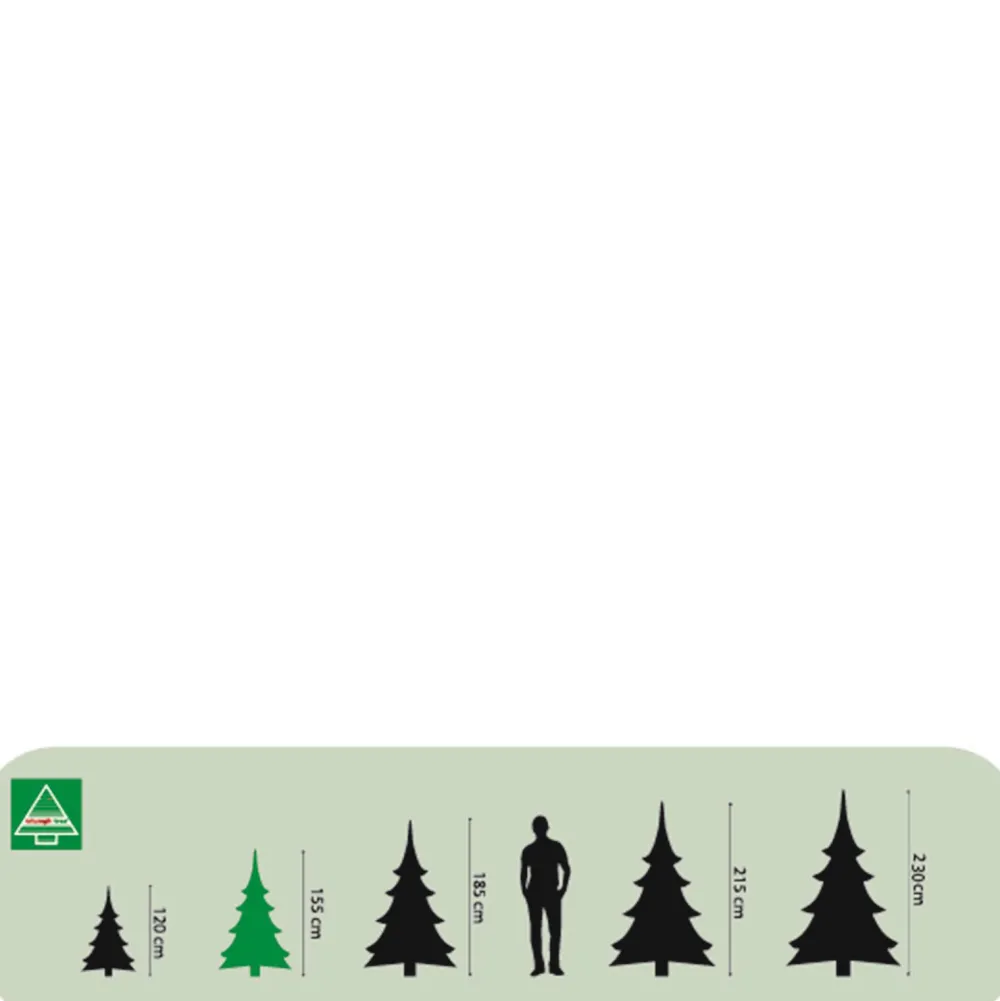 Cheap Triumph Tree Verlichte Kerstboom Forest Frosted (H155 X O119 Cm)