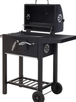 Houtskoolbarbecue|Vaggan Best
