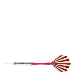 Ton Machine Softtip Electronisch Dartbord|Winmau Hot