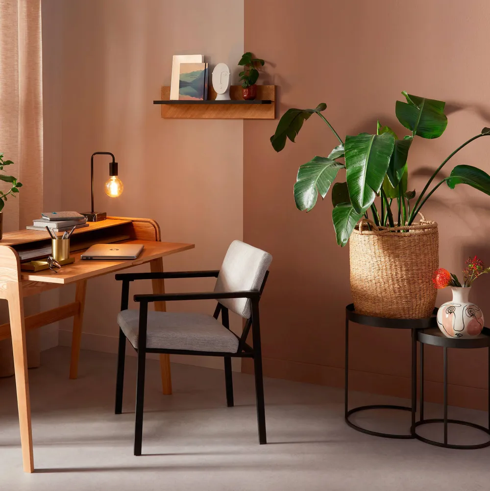 Online Zuiver Barbier Bureau